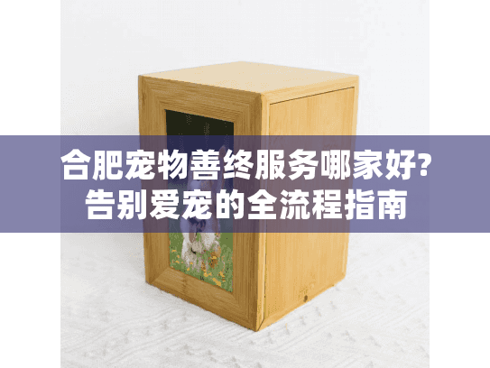 合肥宠物善终服务哪家好?告别爱宠的全流程指南