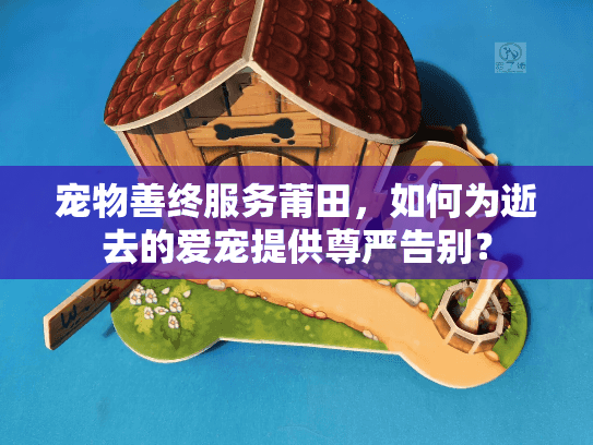 宠物善终服务莆田，如何为逝去的爱宠提供尊严告别？