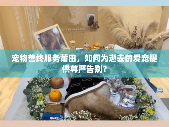宠物善终服务莆田，如何为逝去的爱宠提供尊严告别？