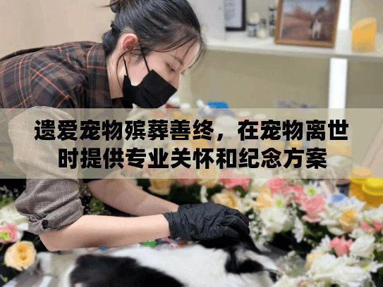 遗爱宠物殡葬善终，在宠物离世时提供专业关怀和纪念方案