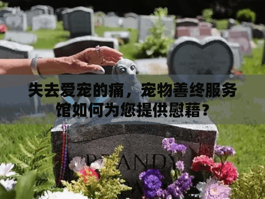 失去爱宠的痛，宠物善终服务馆如何为您提供慰藉？