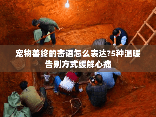 宠物善终的寄语怎么表达?5种温暖告别方式缓解心痛