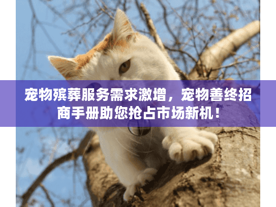 宠物殡葬服务需求激增，宠物善终招商手册助您抢占市场新机！