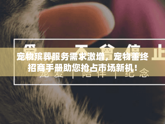 宠物殡葬服务需求激增，宠物善终招商手册助您抢占市场新机！