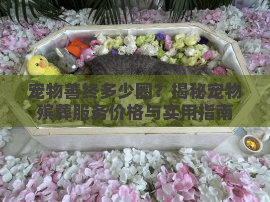 宠物善终多少圈？揭秘宠物殡葬服务价格与实用指南