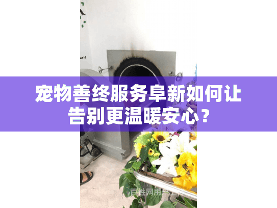 宠物善终服务阜新如何让告别更温暖安心？