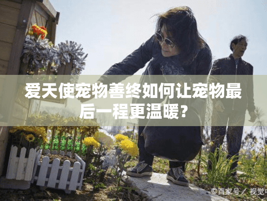 爱天使宠物善终如何让宠物最后一程更温暖？