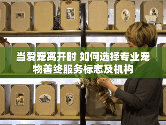 当爱宠离开时 如何选择专业宠物善终服务标志及机构