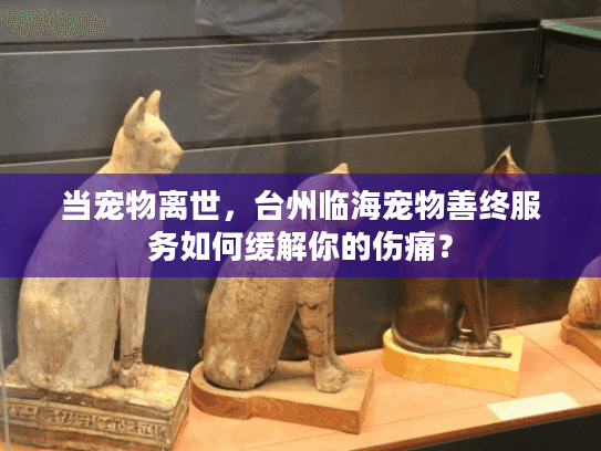 当宠物离世，台州临海宠物善终服务如何缓解你的伤痛？