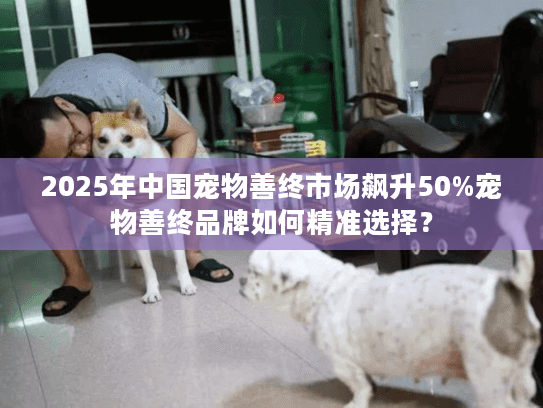 2025年中国宠物善终市场飙升50%宠物善终品牌如何精准选择？