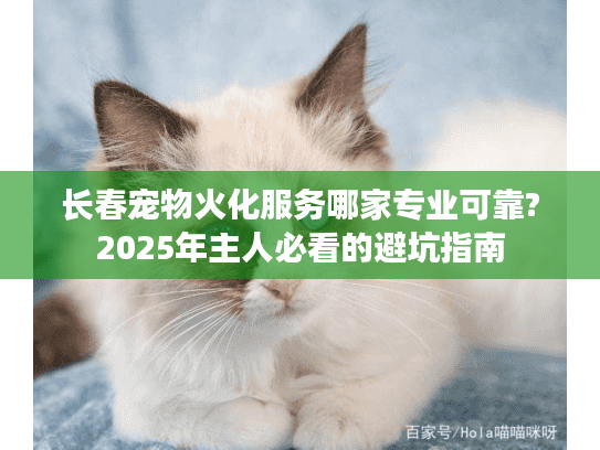 长春宠物火化服务哪家专业可靠?2025年主人必看的避坑指南
