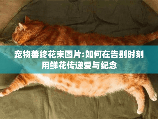 宠物善终花束图片:如何在告别时刻用鲜花传递爱与纪念