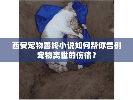 西安宠物善终小说如何帮你告别宠物离世的伤痛？