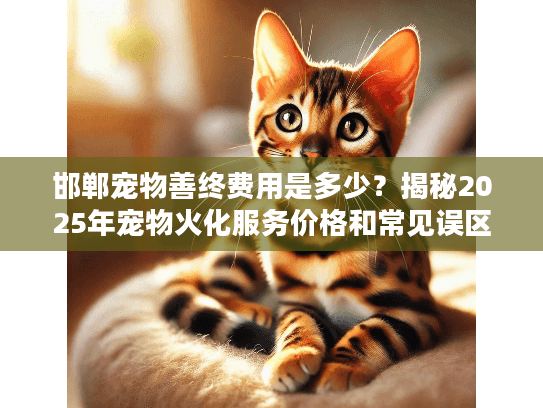 邯郸宠物善终费用是多少？揭秘2025年宠物火化服务价格和常见误区