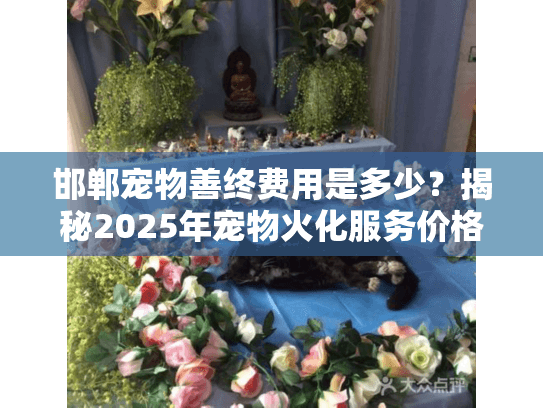 邯郸宠物善终费用是多少？揭秘2025年宠物火化服务价格和常见误区