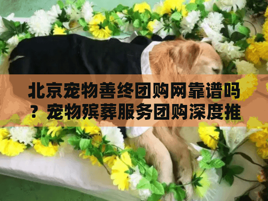 北京宠物善终团购网靠谱吗？宠物殡葬服务团购深度推荐