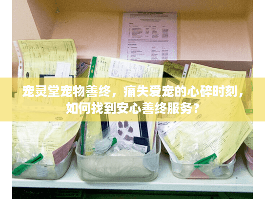 宠灵堂宠物善终，痛失爱宠的心碎时刻，如何找到安心善终服务？