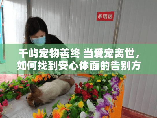 千屿宠物善终 当爱宠离世，如何找到安心体面的告别方案？