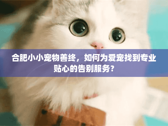 合肥小小宠物善终，如何为爱宠找到专业贴心的告别服务？