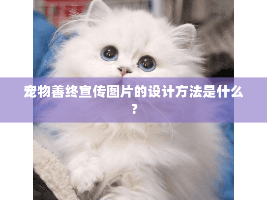 宠物善终宣传图片的设计方法是什么？