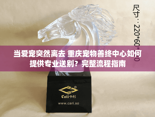 当爱宠突然离去 重庆宠物善终中心如何提供专业送别？完整流程指南