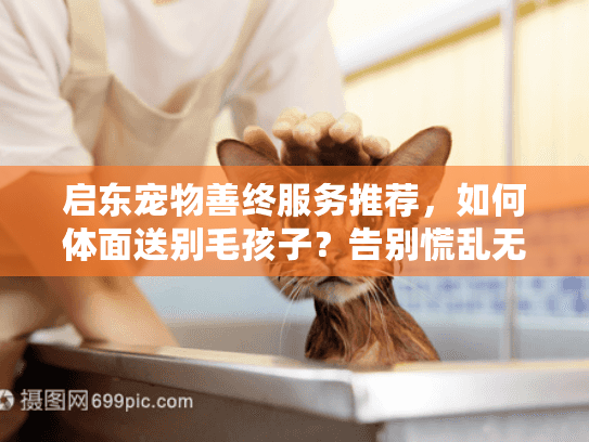 启东宠物善终服务推荐，如何体面送别毛孩子？告别慌乱无助