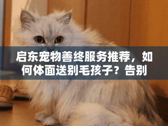 启东宠物善终服务推荐，如何体面送别毛孩子？告别慌乱无助