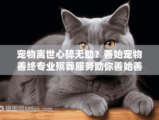 宠物离世心碎无助？善始宠物善终专业殡葬服务助你善始善终！