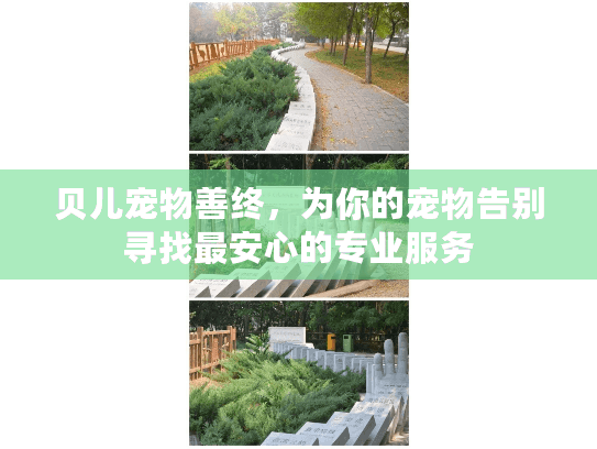 贝儿宠物善终，为你的宠物告别寻找最安心的专业服务