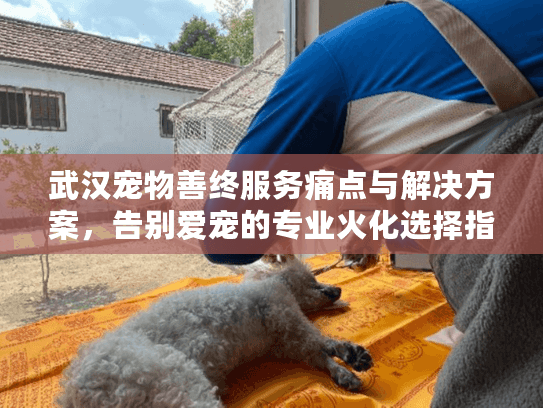 武汉宠物善终服务痛点与解决方案，告别爱宠的专业火化选择指南