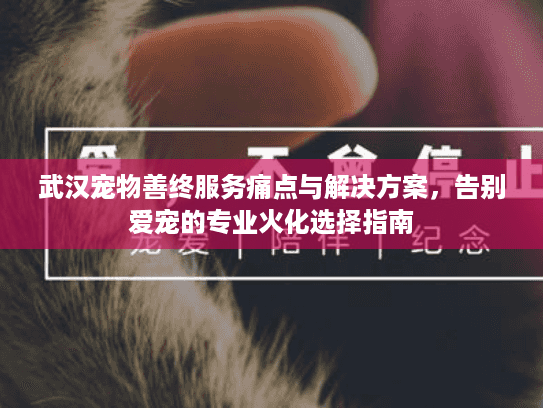 武汉宠物善终服务痛点与解决方案，告别爱宠的专业火化选择指南