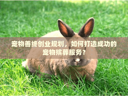 宠物善终创业规划，如何打造成功的宠物殡葬服务？