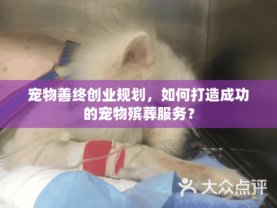 宠物善终创业规划，如何打造成功的宠物殡葬服务？