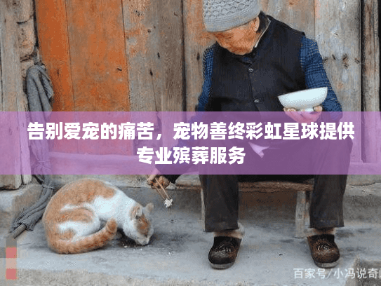 告别爱宠的痛苦，宠物善终彩虹星球提供专业殡葬服务