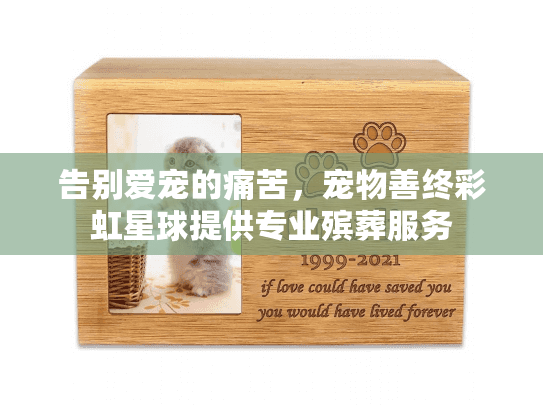 告别爱宠的痛苦，宠物善终彩虹星球提供专业殡葬服务