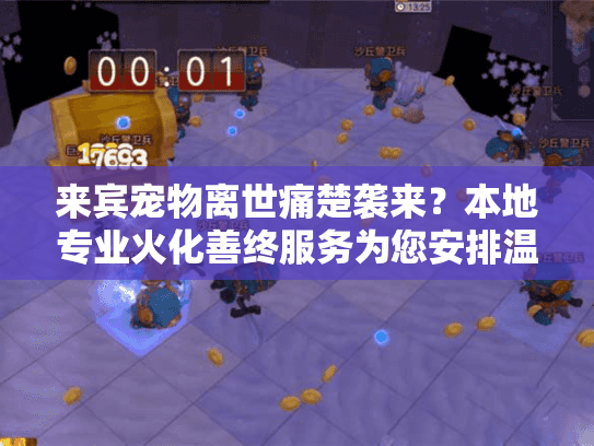 来宾宠物离世痛楚袭来？本地专业火化善终服务为您安排温暖告别