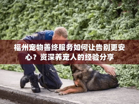 福州宠物善终服务如何让告别更安心？资深养宠人的经验分享