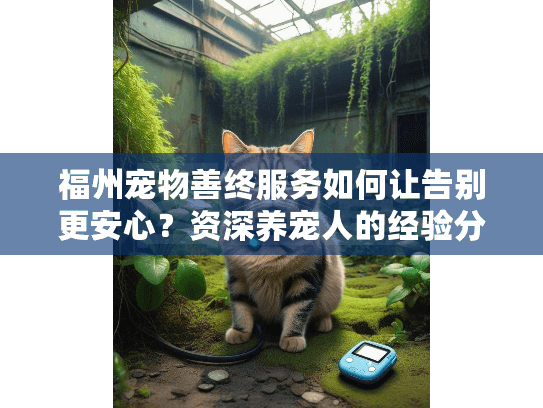 福州宠物善终服务如何让告别更安心？资深养宠人的经验分享