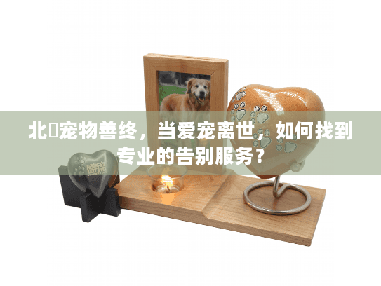 北滘宠物善终，当爱宠离世，如何找到专业的告别服务？