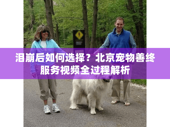 泪崩后如何选择？北京宠物善终服务视频全过程解析