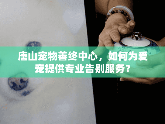 唐山宠物善终中心，如何为爱宠提供专业告别服务？