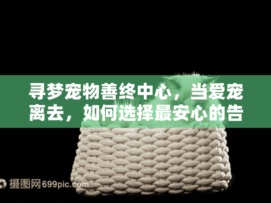 寻梦宠物善终中心，当爱宠离去，如何选择最安心的告别方式？