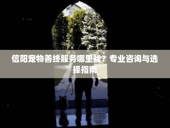 信阳宠物善终服务哪里找？专业咨询与选择指南