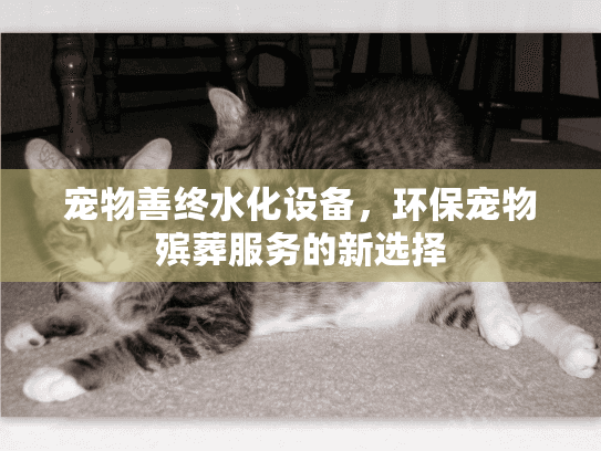宠物善终水化设备，环保宠物殡葬服务的新选择
