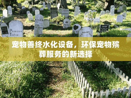 宠物善终水化设备，环保宠物殡葬服务的新选择