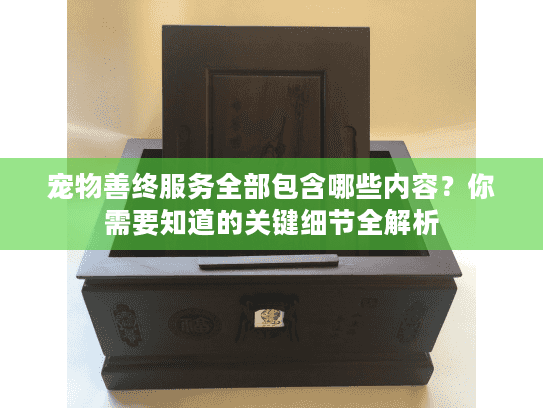 宠物善终服务全部包含哪些内容？你需要知道的关键细节全解析