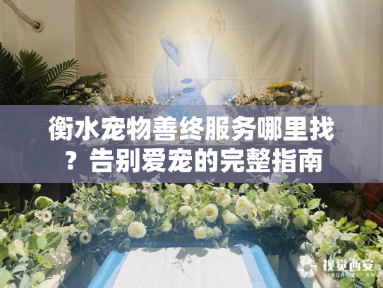 衡水宠物善终服务哪里找？告别爱宠的完整指南