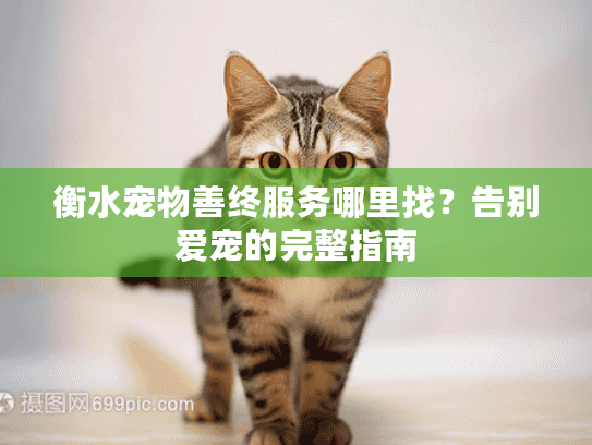衡水宠物善终服务哪里找？告别爱宠的完整指南
