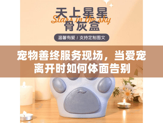 宠物善终服务现场，当爱宠离开时如何体面告别