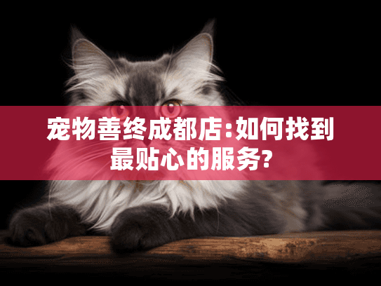 宠物善终成都店:如何找到最贴心的服务?